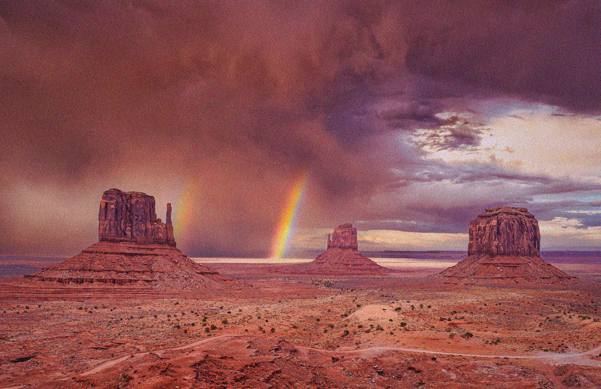 Wholesale Customers | Rainbow Heart Tarot